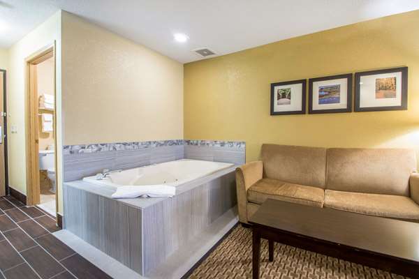 Suite - Comfort Suites Portage - I-39, I-90 & I-94, Exit 108A