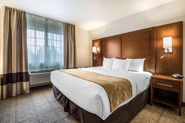 Suite - Comfort Suites Waupaca