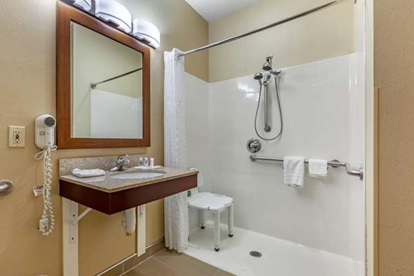 Suite - Comfort Suites Delavan