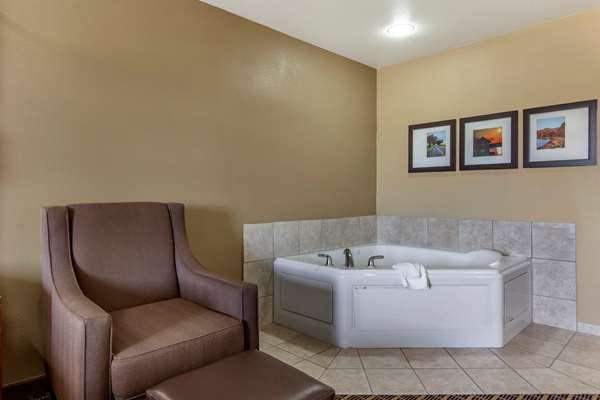 Suite - Comfort Suites Delavan
