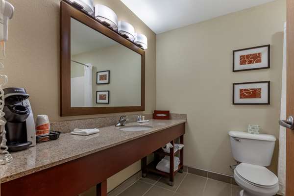 Suite - Comfort Suites Delavan