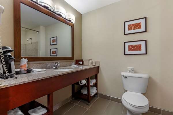 Suite - Comfort Suites Delavan