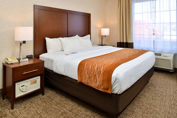 Suite - Comfort Inn & Suites DeForest - I-39, I-90 & I-94, Exit 126