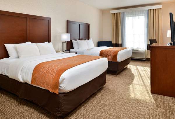 Suite - Comfort Inn & Suites DeForest - I-39, I-90 & I-94, Exit 126