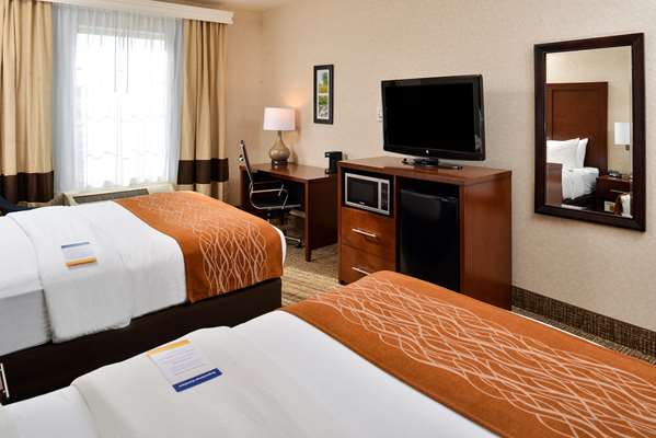 Suite - Comfort Inn & Suites DeForest - I-39, I-90 & I-94, Exit 126
