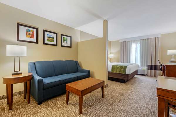 Suite - Comfort Inn Plover - I-39, Exit 153