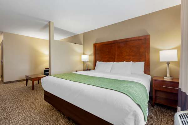 Suite - Comfort Inn Plover - I-39, Exit 153