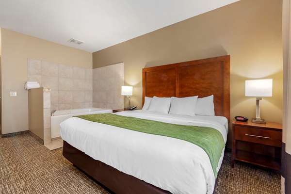 Suite - Comfort Inn Plover - I-39, Exit 153