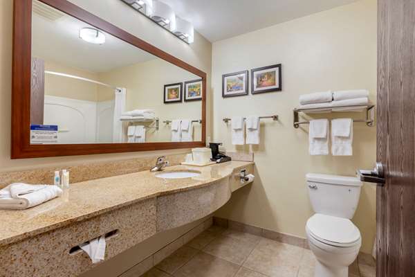 Suite - Comfort Inn Plover - I-39, Exit 153