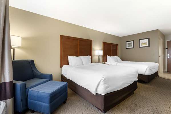  - Comfort Inn & Suites Black River Falls - I-94, Exit 116