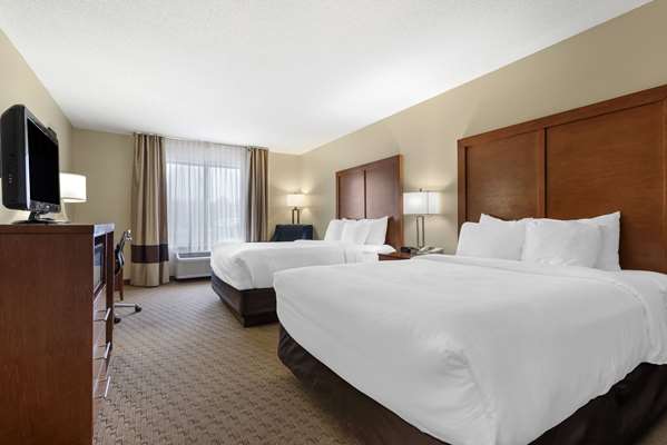  - Comfort Inn & Suites Black River Falls - I-94, Exit 116