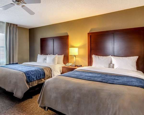  - Comfort Inn & Suites Grafton