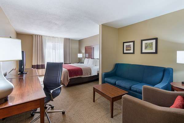 Suite - Comfort Inn Barboursville - I-64, Exit 20 & 20B