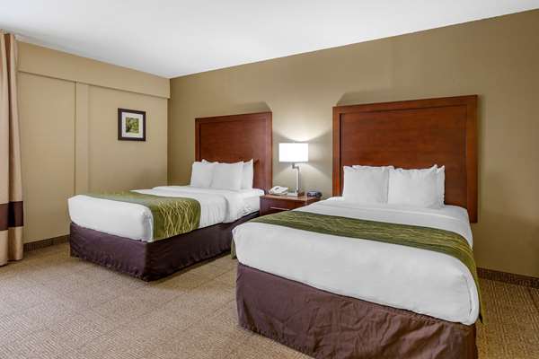 Suite - Comfort Inn Martinsburg - I-81, Exit 16