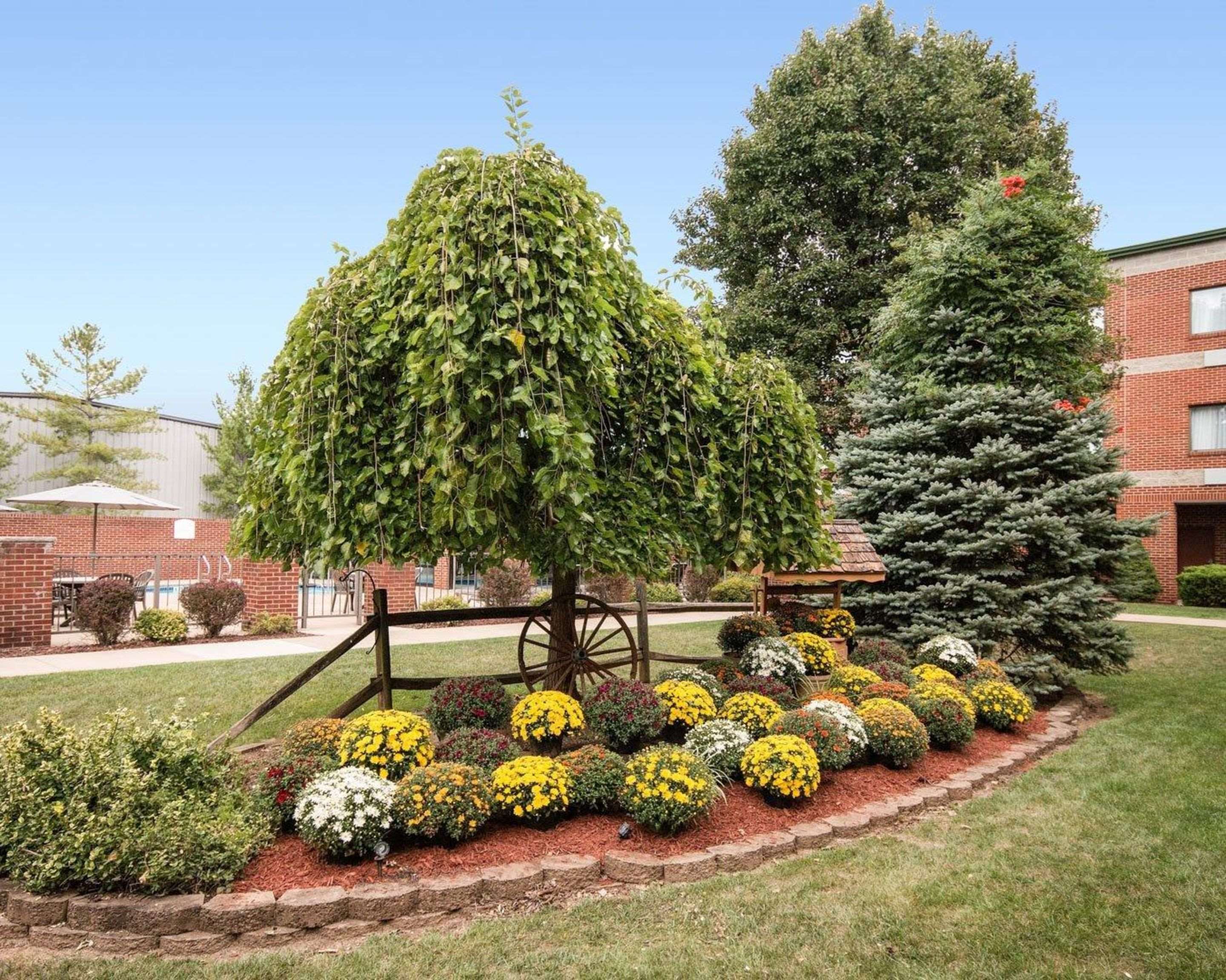 Hotel with beautiful views | Comfort Suites Parkersburg South