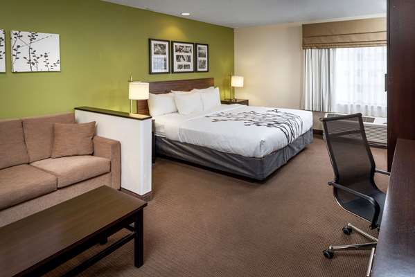 Suite - Sleep Inn & Suites Cross Lanes - I-64, Exit 47A