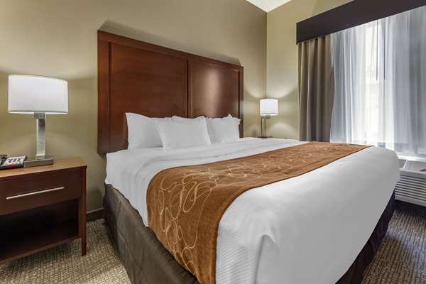 Suite - Comfort Suites Bridgeport - I-79, Exit 124