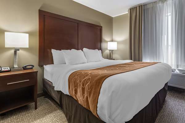 Suite - Comfort Suites Bridgeport - I-79, Exit 124