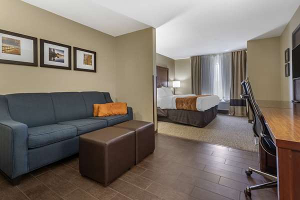 Suite - Comfort Suites Bridgeport - I-79, Exit 124
