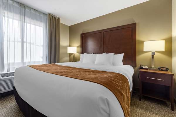 Suite - Comfort Suites Bridgeport - I-79, Exit 124