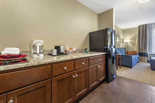 Suite - Comfort Suites Bridgeport - I-79, Exit 124