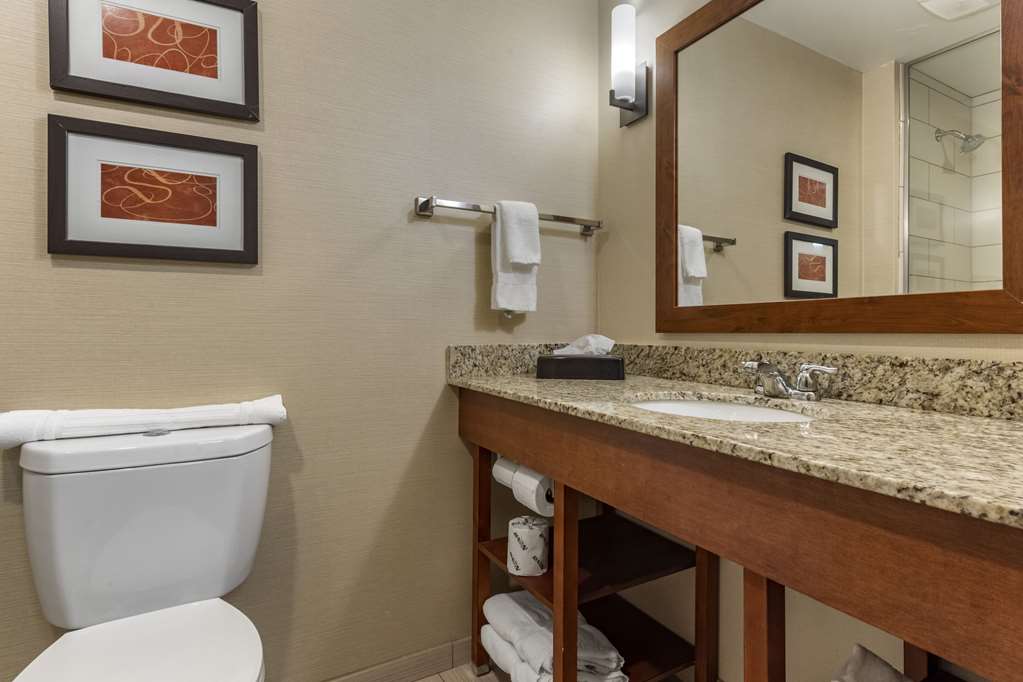 COMFORT SUITES BRIDGEPORT - CLARKSB-guestroom-Guest Room,Bathroom,On-Site.jpg