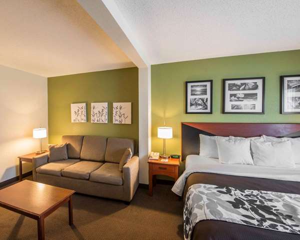 Suite - Sleep Inn & Suites Princeton - I-77, Exit 9