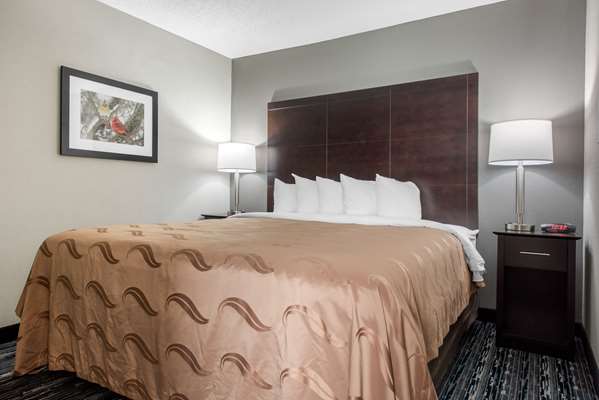 Suite - Quality Inn & Suites Brownsburg - I-74, Exit 66