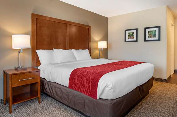 Suite - Comfort Inn La Porte