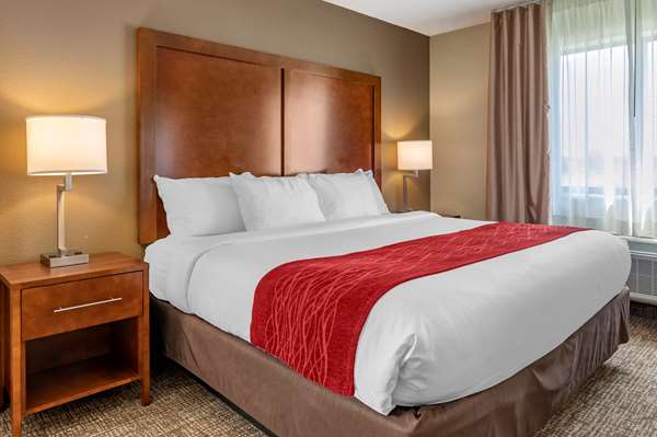 Suite - Comfort Inn La Porte