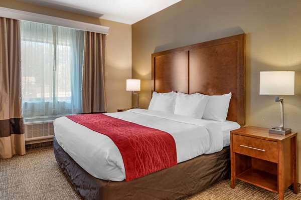 Suite - Comfort Inn La Porte