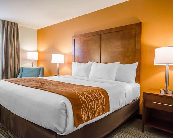 Suite - Comfort Inn Ferdinand