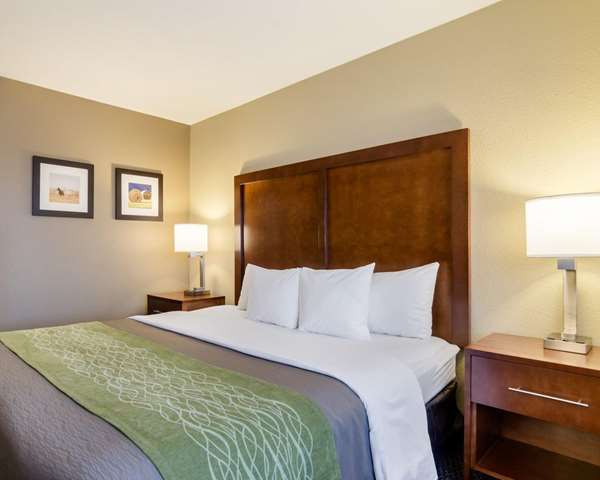  - Comfort Inn Garden City