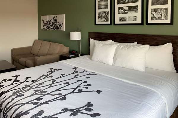 Suite - Sleep Inn & Suites Garden City