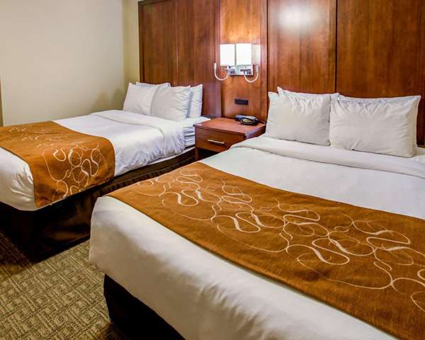 Suite - Comfort Suites Georgetown - I-75, Exit 126