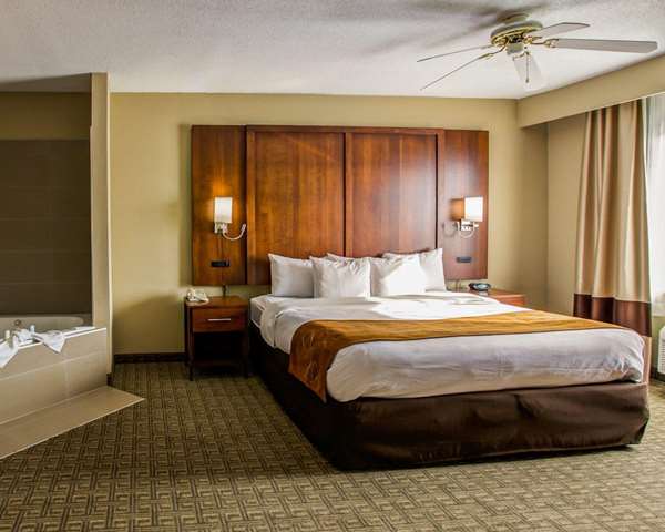 Suite - Comfort Suites Georgetown - I-75, Exit 126
