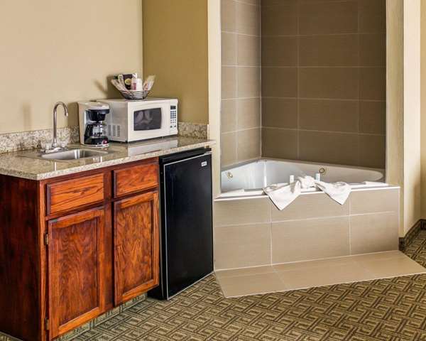 Suite - Comfort Suites Georgetown - I-75, Exit 126