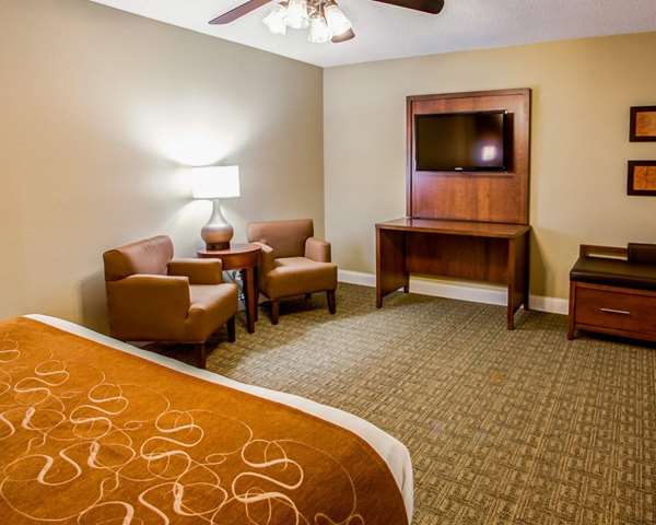 Suite - Comfort Suites Georgetown - I-75, Exit 126