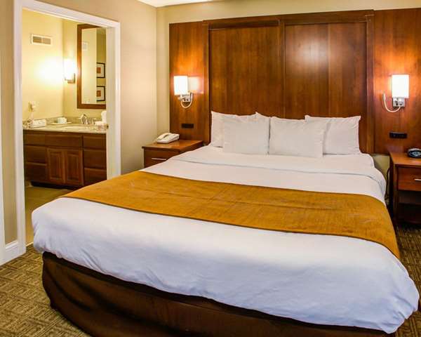 Suite - Comfort Suites Georgetown - I-75, Exit 126