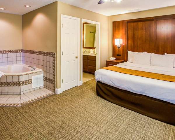 Suite - Comfort Suites Georgetown - I-75, Exit 126