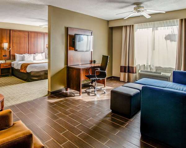 Suite - Comfort Suites Georgetown - I-75, Exit 126