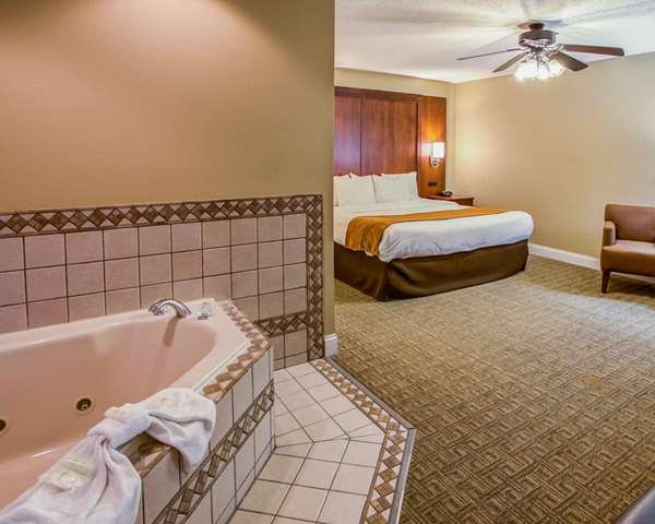 Suite - Comfort Suites Georgetown - I-75, Exit 126