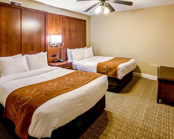 Suite - Comfort Suites Georgetown - I-75, Exit 126