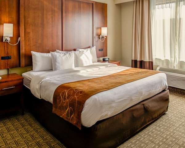 Suite - Comfort Suites Georgetown - I-75, Exit 126