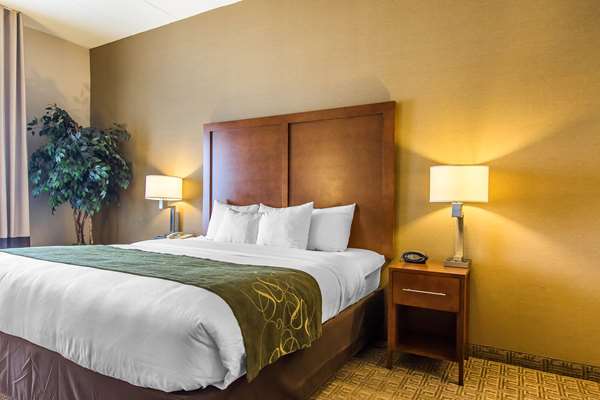 Suite - Comfort Suites Richmond - I-75, Exit 87
