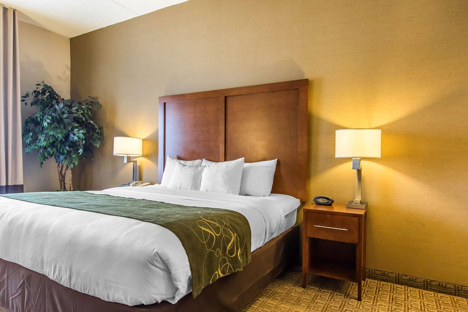 Comfort Suites Richmond Ky See Discounts