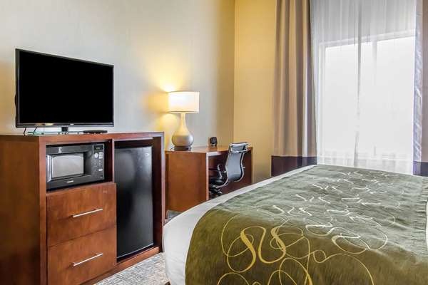 Suite - Comfort Suites Richmond - I-75, Exit 87