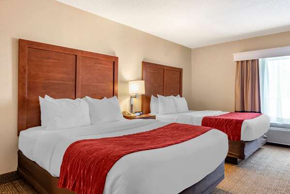 Suite - Comfort Inn & Suites Morehead - I-64, Exit 133
