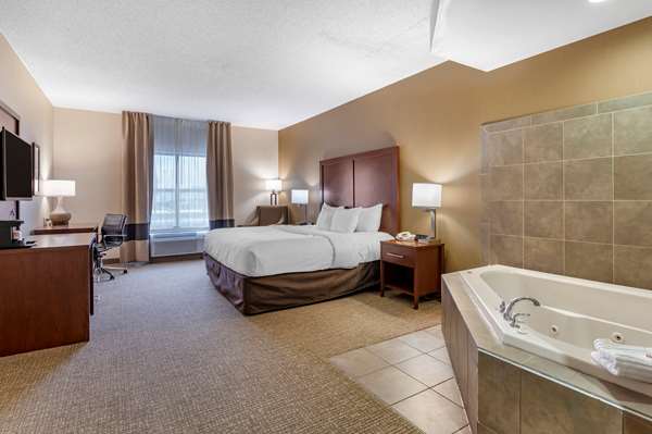  - Comfort Inn Shively - I-264, Exit 8