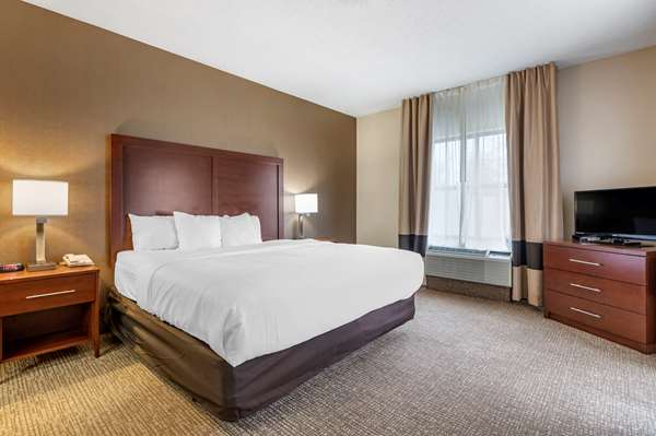 Suite - Comfort Inn Shively - I-264, Exit 8
